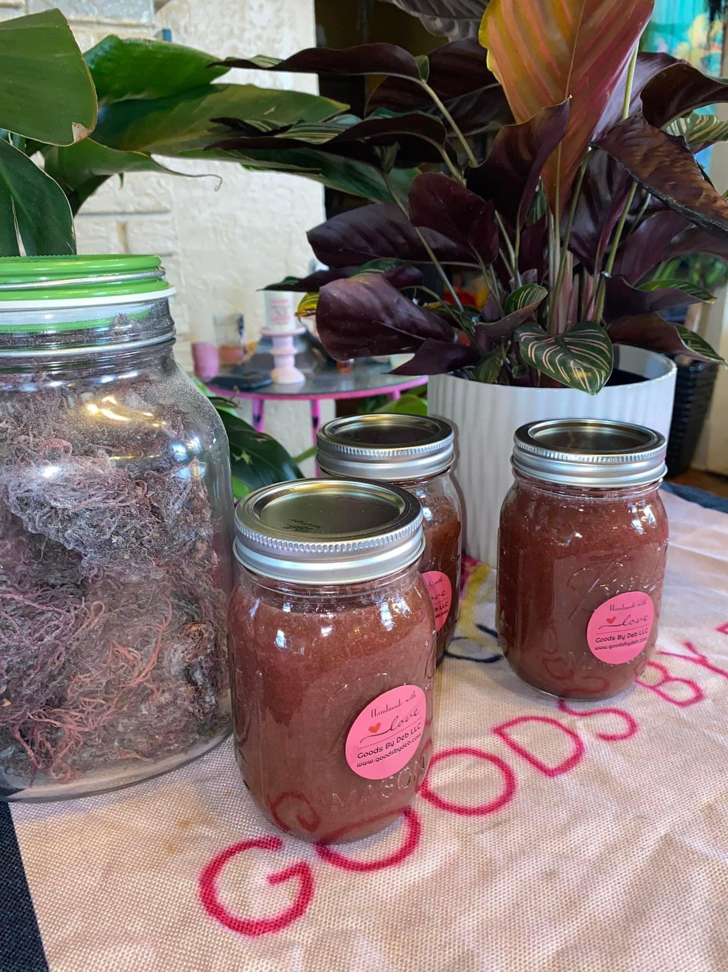 Purple Sea Moss